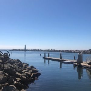 Meet your Posher, Roxanne